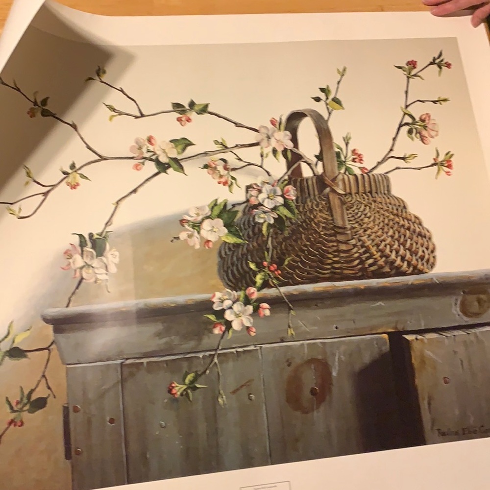 Large Print Apple Blossoms